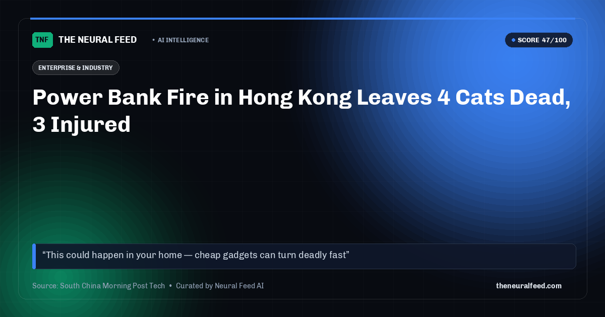 Power Bank Fire in Hong Kong Leaves 4 Cats Dead, 3 Injured