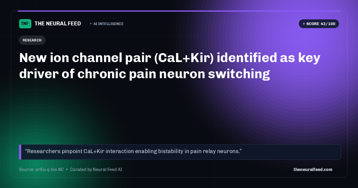 New ion channel pair (CaL+Kir) identified as key driver of chronic pain neuron switching