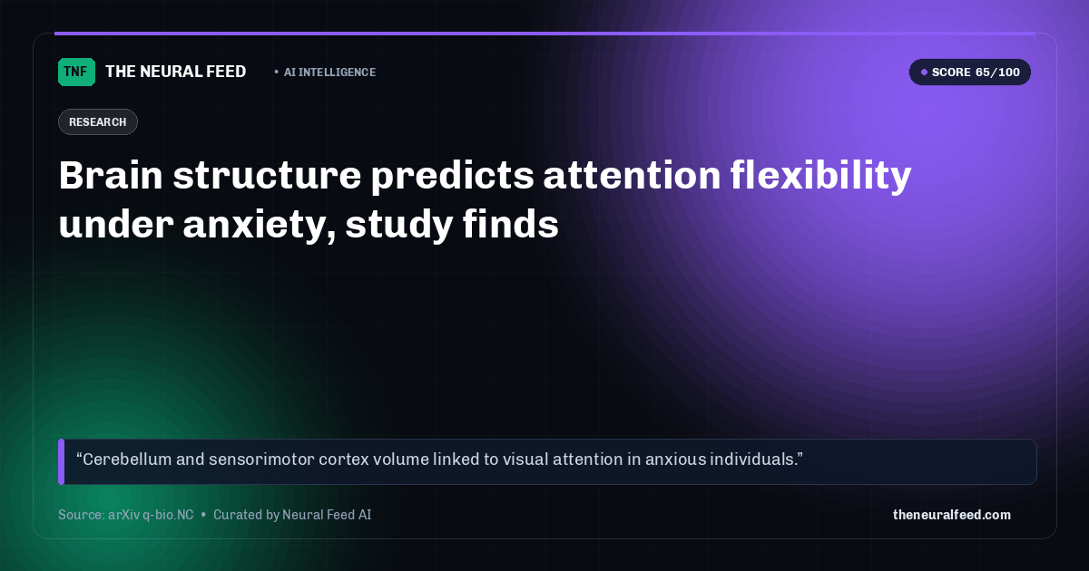 Brain structure predicts attention flexibility under anxiety, study finds