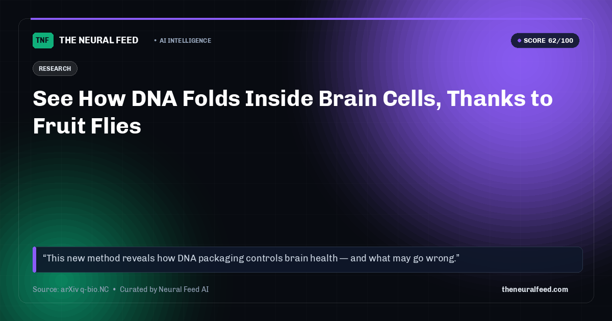 See How DNA Folds Inside Brain Cells, Thanks to Fruit Flies